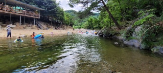 느티나무민박