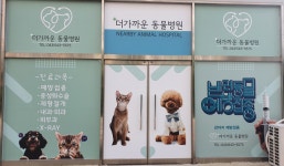 더가까운동물병원