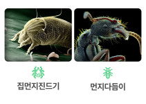 제이엔에이치메디컬