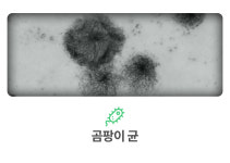 제이엔에이치메디컬