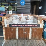 셀세모 대전신탄진점