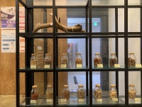 김민부한의원 달서월성