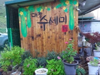대창 수세미농원