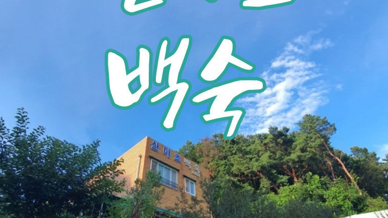 산야초백숙