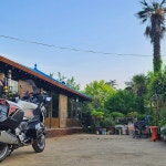 비금 삼학이네 민박