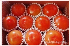 봄춘농장