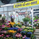 삼성꽃화원
