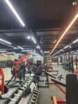 YB GYM