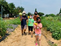 늘푸른주말농장