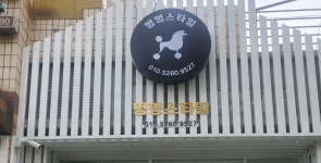 멍멍스타일