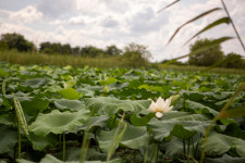 햇살들 주말농장