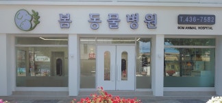 봄동물병원