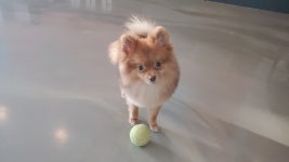 라운지독