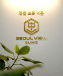 서울뷰의원 대전