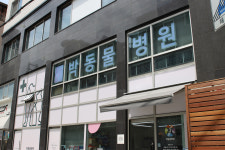 박동물병원