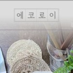 에코로이