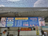 손세차.Feels카샵셀프세차장