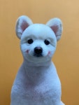 쁘띠멍 강아지미용실