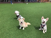 안녕똑독아 트레이닝센터