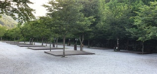 캠프더포레
