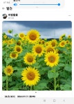 88양곱창센타7호