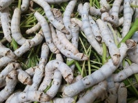 산이랑별이랑농장 민박