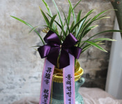 블루블룸 분당야탑역사점