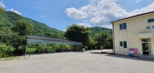 캠프더포레