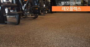 디에스피플러스