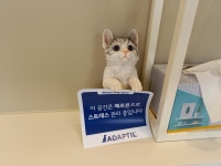 24시 범어동물의료센터 주차장