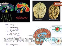 공감심리상담 브레인융합연구소