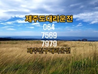 제주친구 대리운전