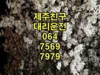 제주친구 대리운전