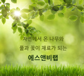 에스앤비랩
