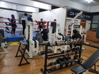 일도체육관