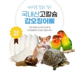 마린보이