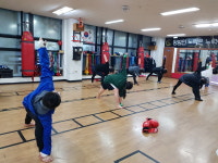 일도체육관