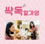 싹독할가영