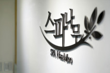 스파나무 청담점