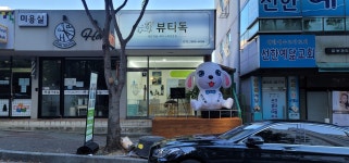 뷰티독
