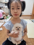 한빛애견전문농장