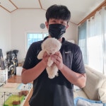한빛애견전문농장