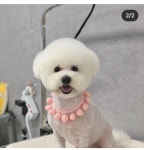 눈이부시개