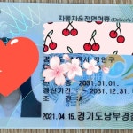 맹드라이브 운전면허 성균관대역점