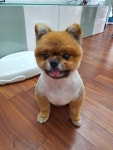도기살롱