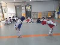 올바른태권도