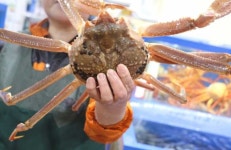 우성수산