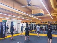 대구킥복싱주짓수팀긱MMA
