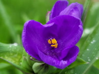 용인시니어너싱홈