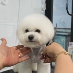 읻다그루밍